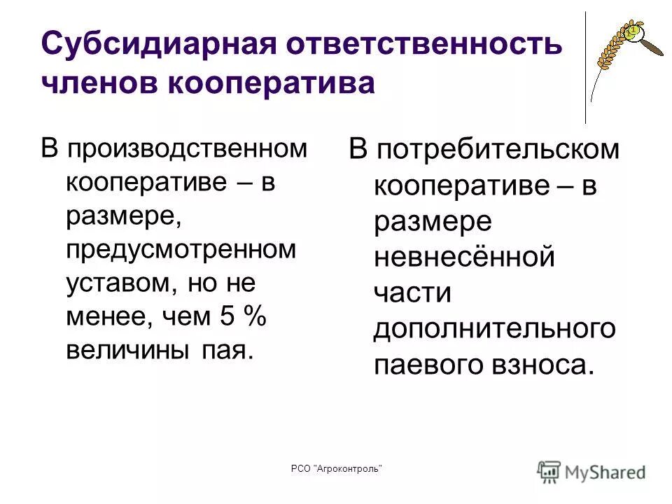 Субсидиарная ответственность по долгам ооо