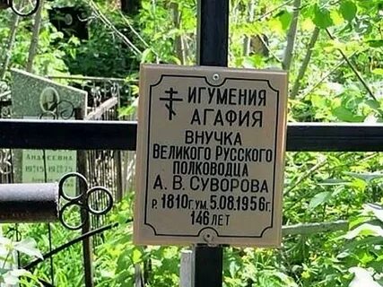 Где жила внучка