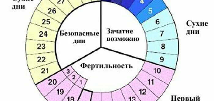 На следующий день после месячных можно забеременеть. Дни беременности в цикла вероятность. Вероятность забеременеть в цикле. Шансы забеременеть цикл. Вероятность забеременеть цикл месячных.