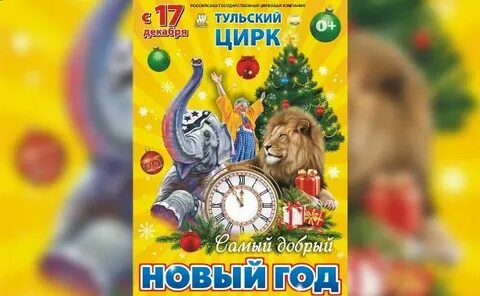 Новогодний цирк тула