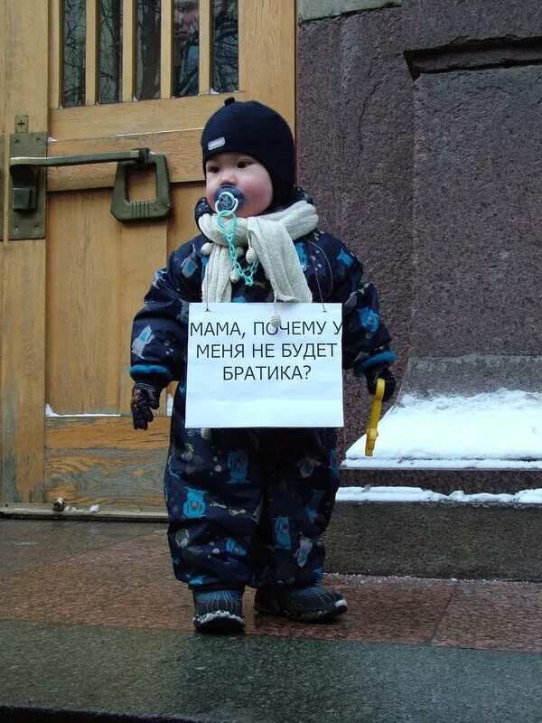 ищу братика. ищу братика. сяб братик\. хороший братик. детская футболка с надписью.