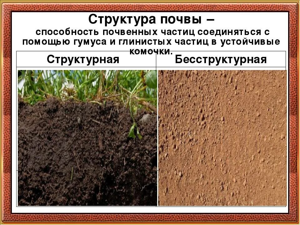 Какие почвы малоплодородны. Комковато-зернистая структура почвы. Структура почвы. Бесструктурная почва. Структурная почва.
