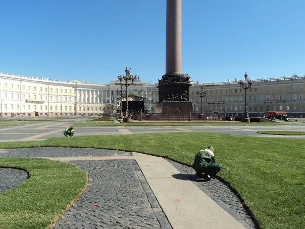 Площадь июнь. Озеленение дворцовой площади. газон на дворцовой площади. дворцовая площадь в санкт-петербурге фото сейчас. шлиссенбург центр города.