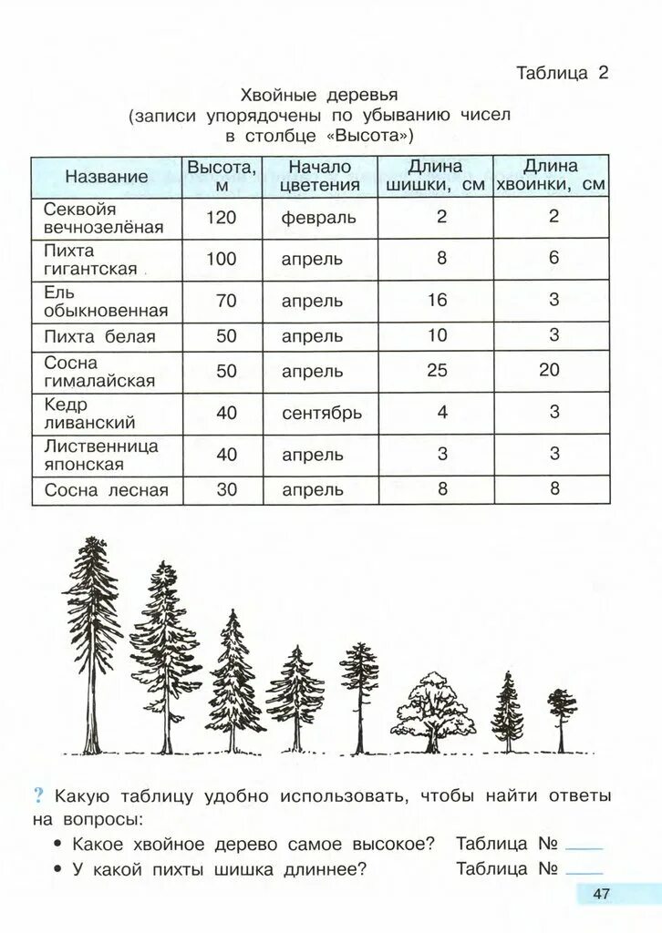 Размер хвойных растений. Размер шишки сосны ели лиственницы и пихты. Таблица сосна ель лиственница можжевельник. Признаки хвойных деревьев таблица. Пихта размер шишки форма чешуек плотность.