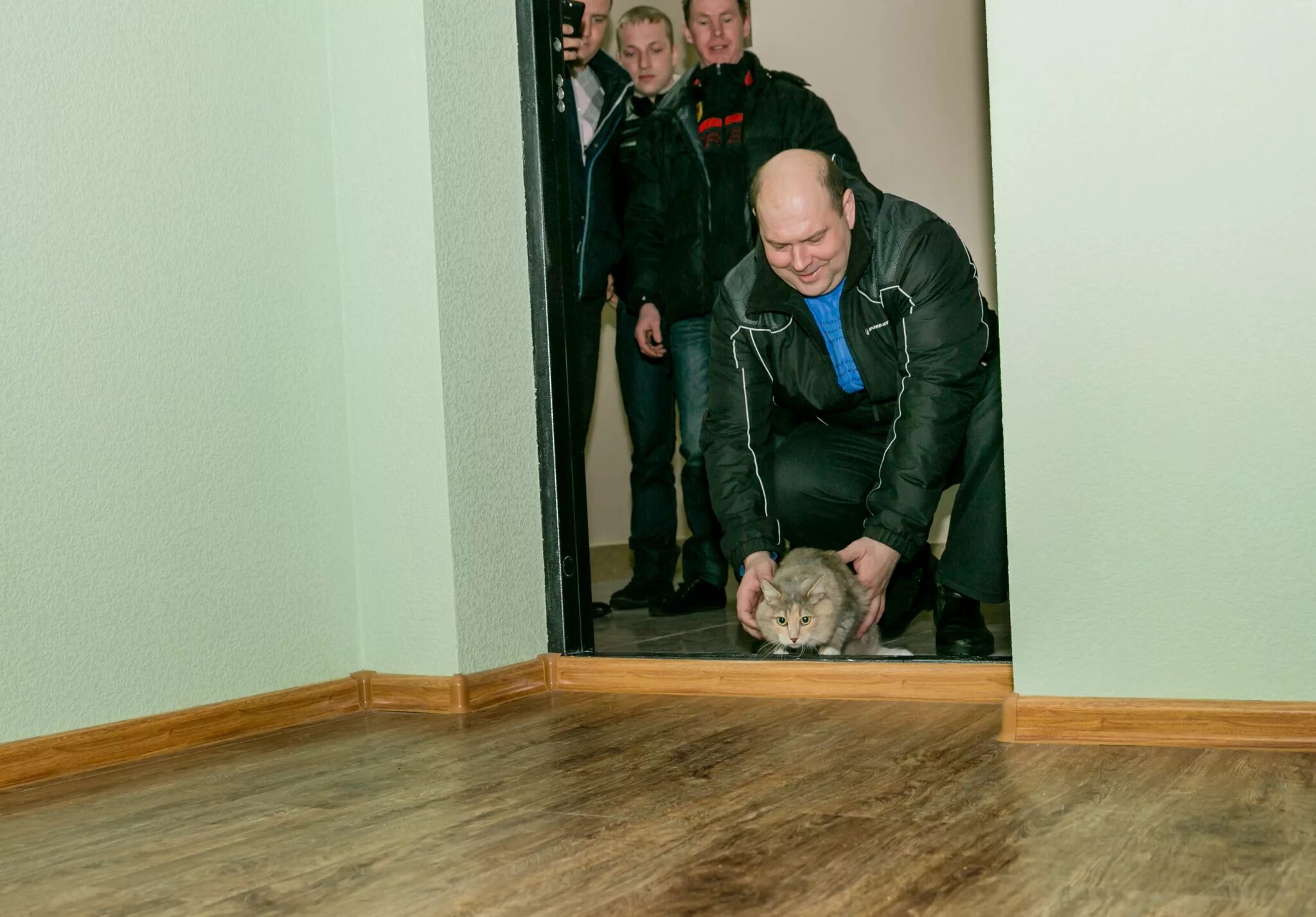 Запускаем кошку в дом. Кошку запускают в новую квартиру. Кот в новой квартире. Кошку впускают в дом. Запускают кота в квартиру.