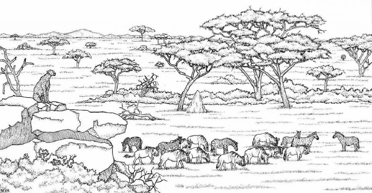 Саванна раскраска. Жираф. Саванна раскраска. Саванна раскраска. Раскраска гепард.