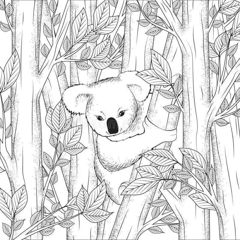 Коала раскраска для детей распечатать Baby prints, Koala, Koalas