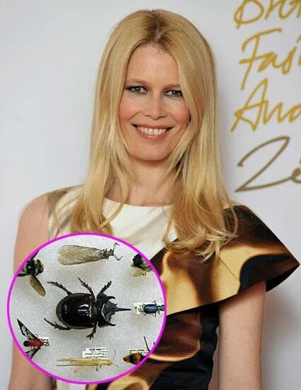 странное хобби леди 16. странное хобби леди 16. хобби елизаветы 2 разведение собак. странное хобби леди 16. странное хобби леди 16.