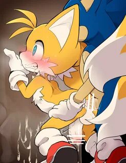 Rule34 - If it exists, there is porn of it / dagasi, sonic the hedgehog, tails /