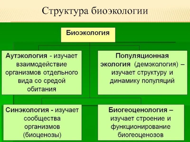 Примеры изучения экологии. Структура биоэкологии. Структура экологии. Биоэкология и ее место в системе экологических наук. . Виды биоэкологии..