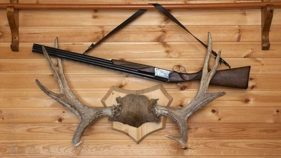 министр охотничьего хозяйства саратовской области. комитет охотничьего хозяйства саратовской области 2005. комитет охотничьего хозяйства и рыболовства калининск. комитета охотничьего хозяйства и рыболовства волгоградской области. комитет охотничьего хозяйства и рыболовства калининск.