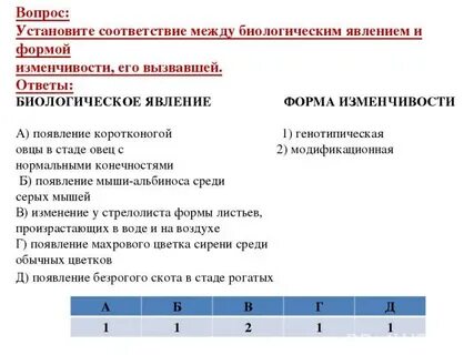 Установите соответствие между примерами и формами изменчивости