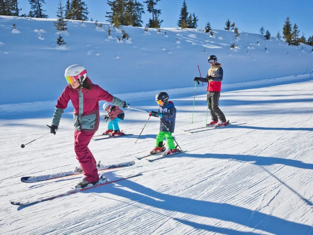 Катание на лыжах. Зимнее катание на лыжах. Катание на лыжах дети. Покататься на лыжах. Семья лыжников