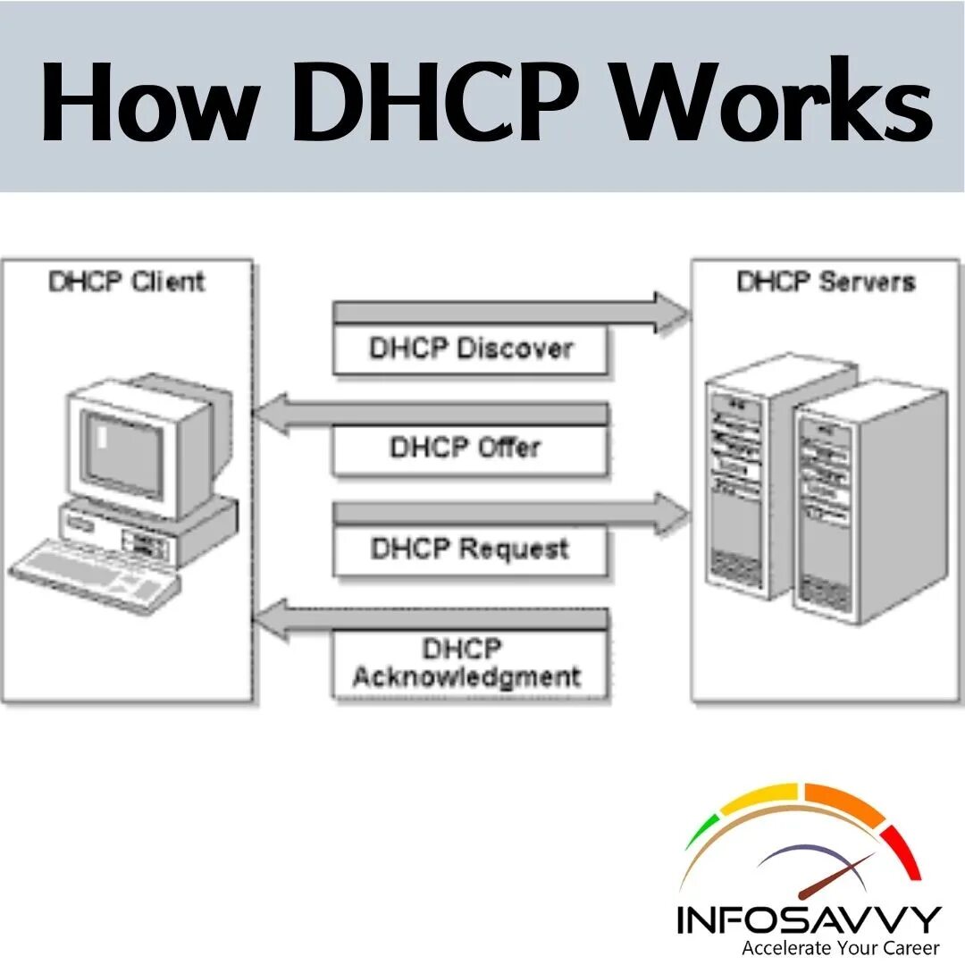Порт протокола dhcp. Dhcp сервер. dhcp протокол. dhcp запрос. dhcp клиент.