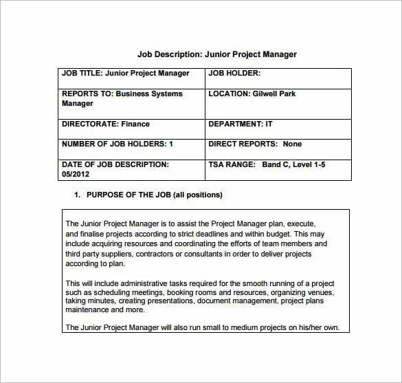 Junior project manager. Project description example. job description of project managers. description for project samples. short project description.