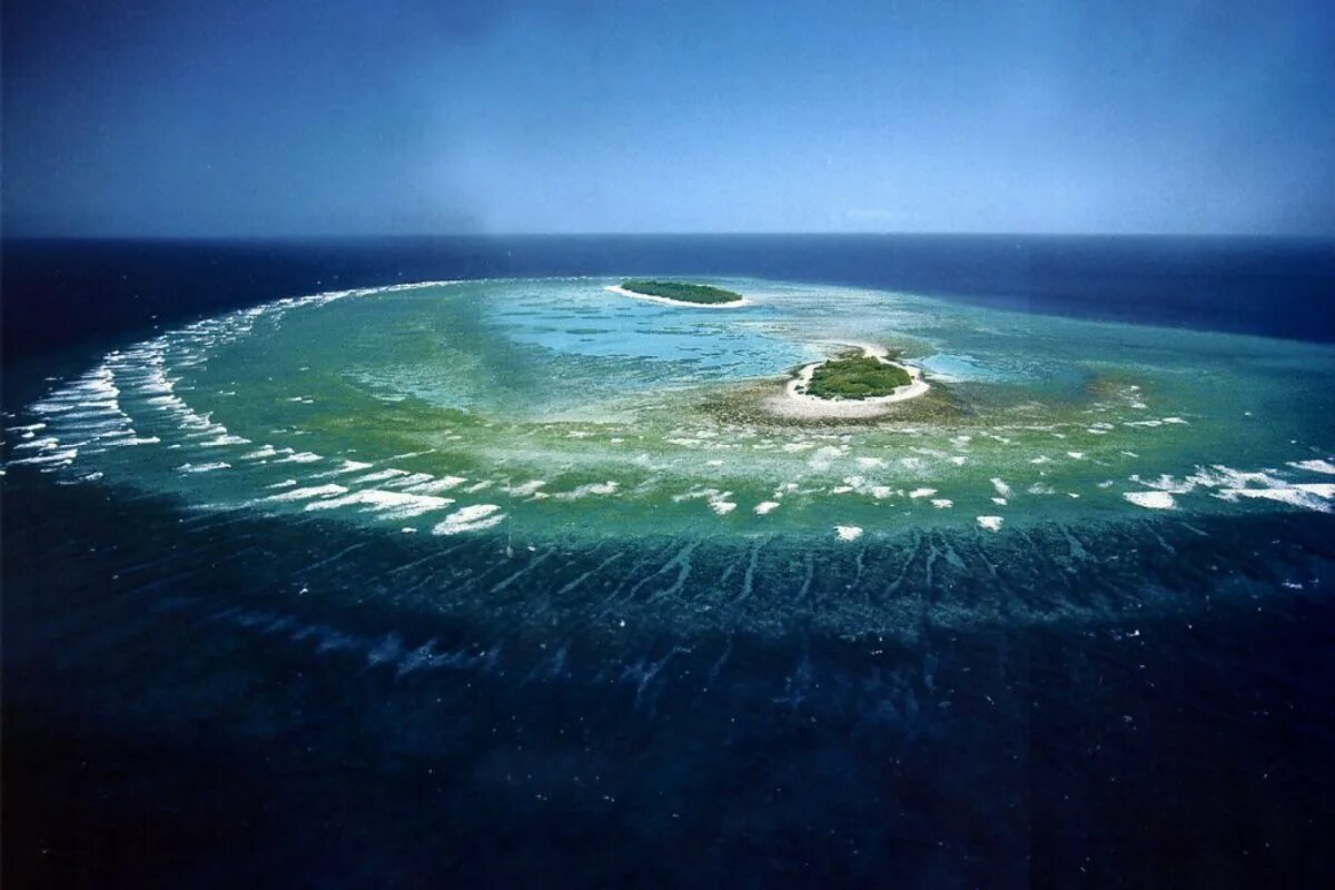 Острова большого рифа. Большой Барьерный риф Австралия. Острова большого барьерного рифа. Большой Барьерный риф ЮНЕСКО. Коралловый остров леди Масгрэйв Австралия.