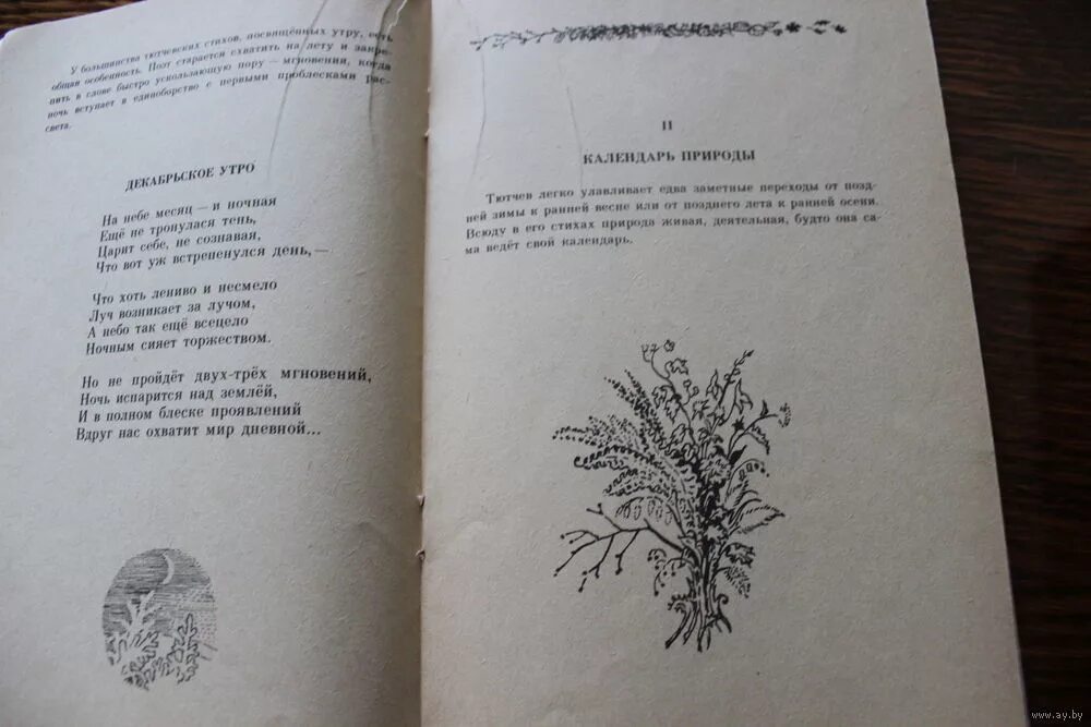 Стихотворение ф и тютчев конь морской. Ф и тютчев конь морской. О рьяный конь о конь морской. Тютчев конь морской. Тютчев о рьяный конь.