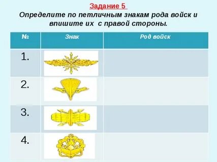 Какое название обозначают данные петлицы