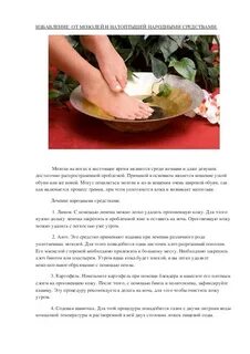 Народное средство от сухих мозолей на ногах