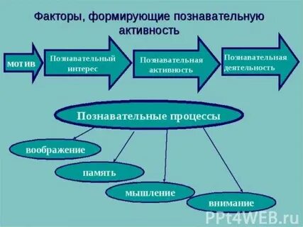 Влияние познавательных процессов на развитие