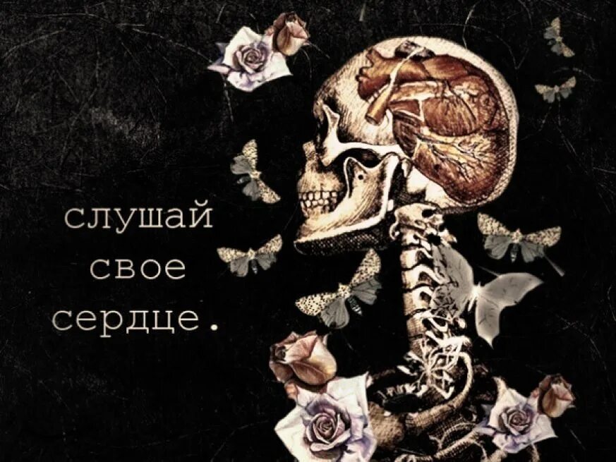 Думай головой слушай сердцем. Слушай сердце. слушайте свое сердце. слушай своё сердце цитаты. слушай сердце цитаты.