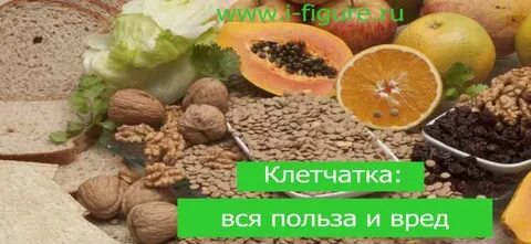 Клетчатка польза
