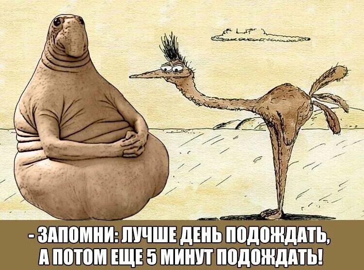 ждун. сплю ожидание реальность. ждун приколы. ждун с нетерпением. фото ждуна.