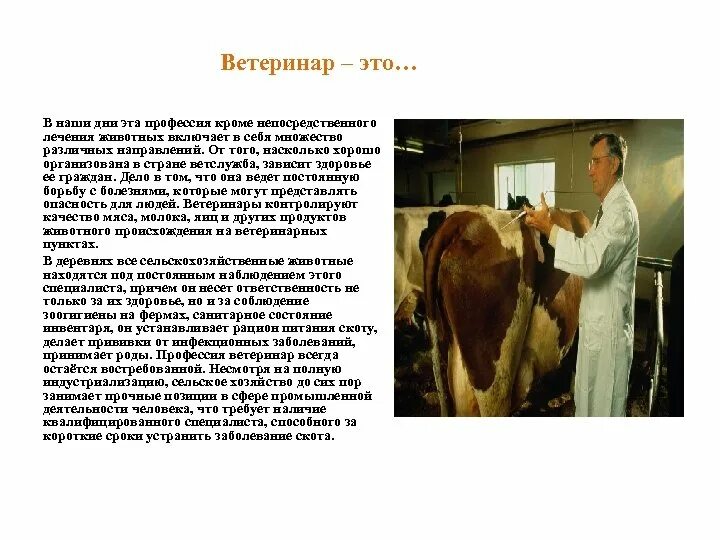 Ветеринар военнообязанный. Ветеринар. Ветеринарные врачи военнообязанные. Ветеринары военнообязанные или нет. Ветеринария профессия.