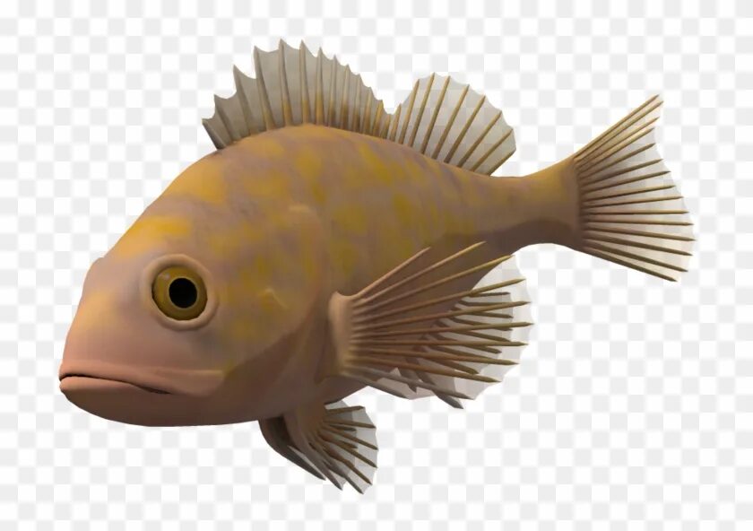 Fish 3 0