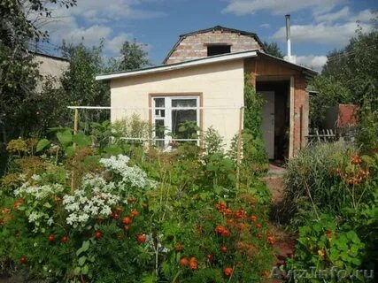 Сад сигнал 3
