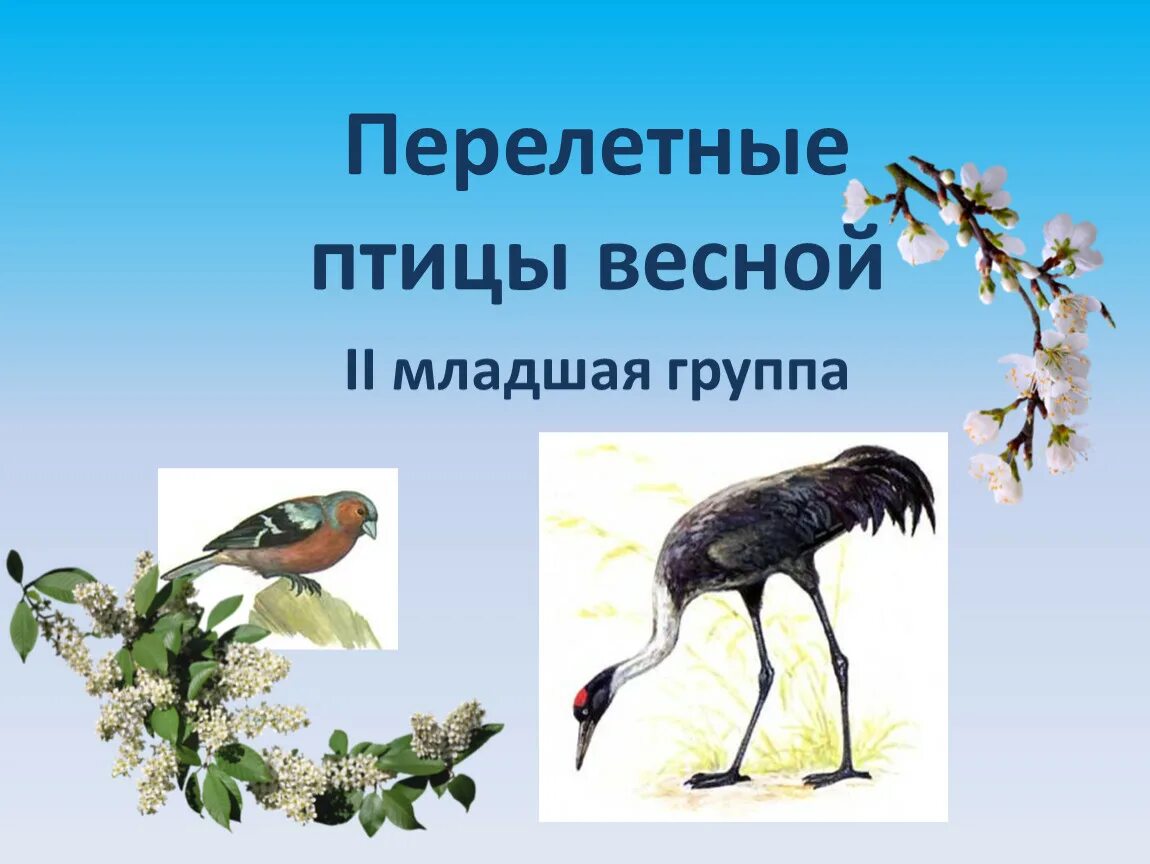 Перелетные птицы весной картинки для детей. Перелетеые п и цы весной. Перелётные птицы весно. Презентация птицы весной младшая группа. Презентация перелетные птицы весной.