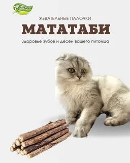 Палочки мататаби