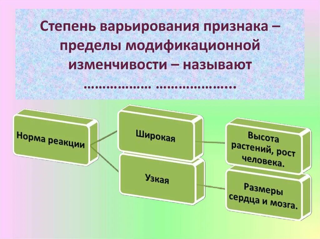 Нормы реакции бывают. Норма реакции пределы модификационной изменчивости. Прежвл млдификацилнной изменчивости. Степень варъирование признака. Пределы модификационной изменчивости называются.