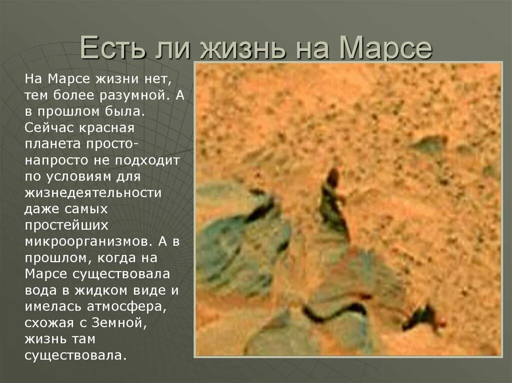 Есть ли жизнь на Марсе. Существование жизни на Марсе. На Марсе есть жизнь. Если жизнь на Марсе.
