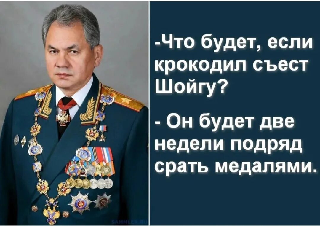 Шойгу министр обороны ордена. Шойгу оленевод.