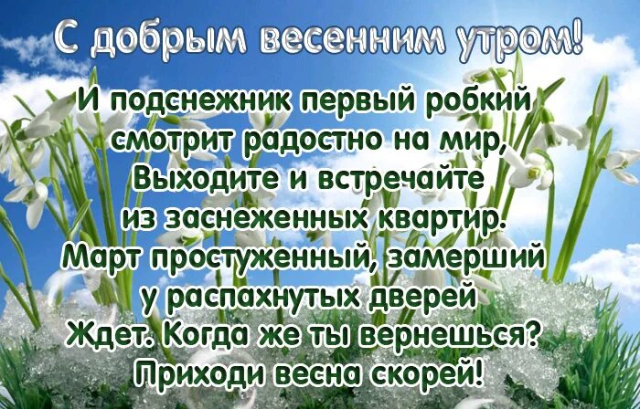 Доброе утро философские весенние картинки. Пожелания с добрым весенним утром. Пожелание доброго весеннего утра.