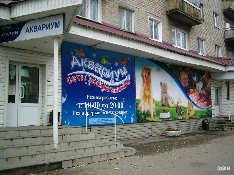 аквариумный магазин вывеска. мира 63 магнит пенза. мир пенза адреса магазинов. г пенза ул мира 2. магазин аквариум вывеска.