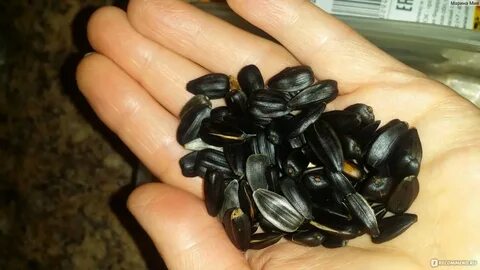 Семечки домашние