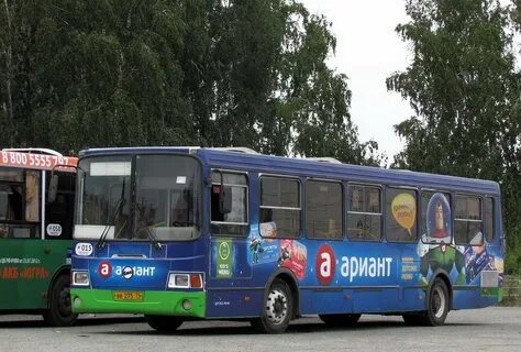 5 автобус чкпз