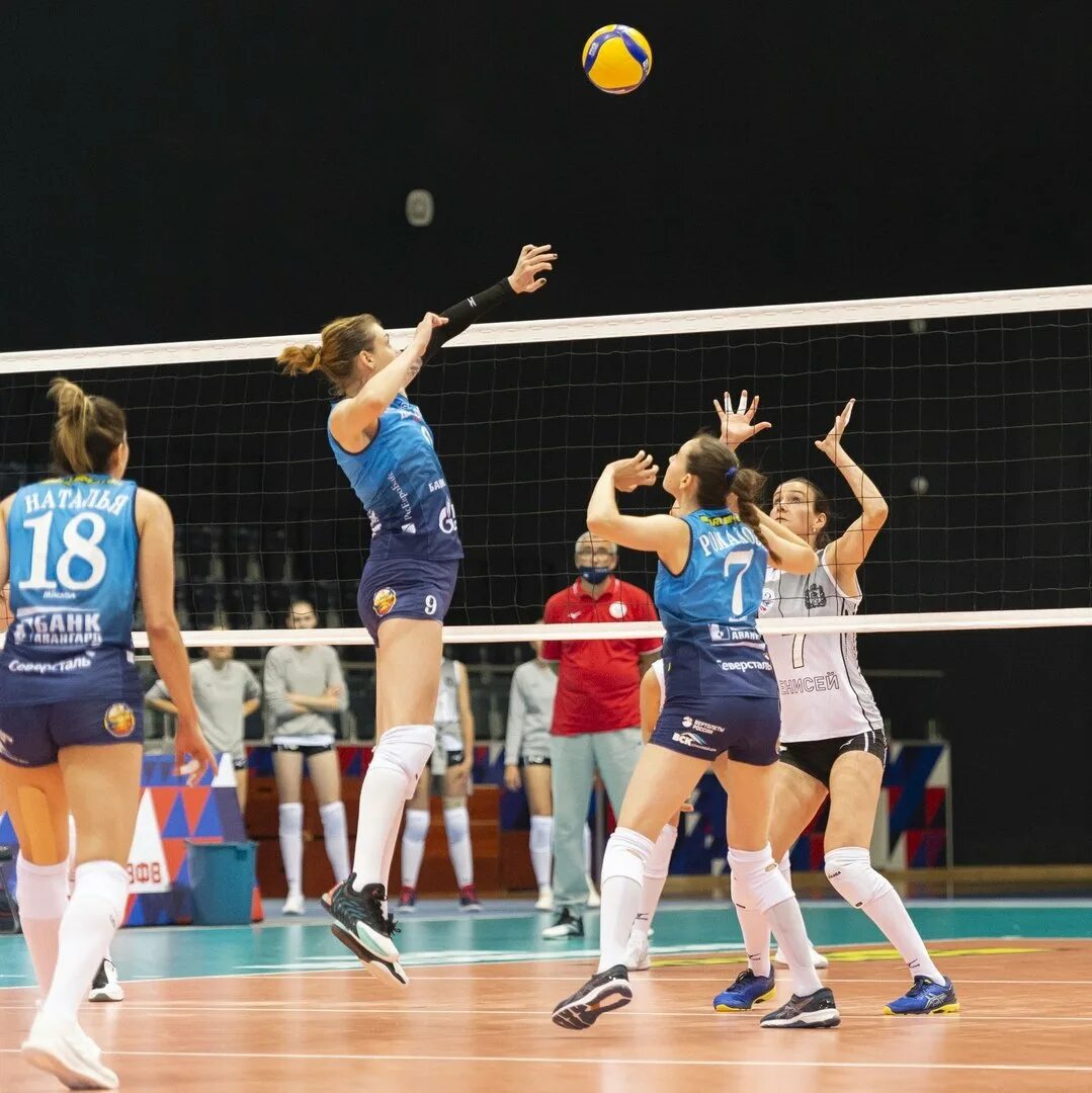 Волейбольная команда чайка. Динамо белгород волейбол. Волейбольная команда втб. Волейбольные клубы суперлиги россии. Волейбольная команда томичка.
