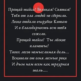 Прощай тайга