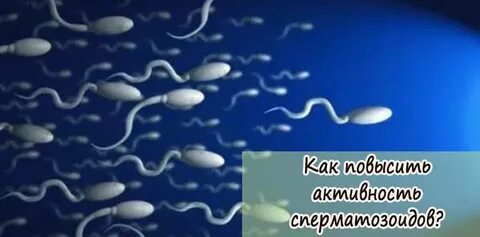 Как улучшить спермограмму для зачатия мужчине