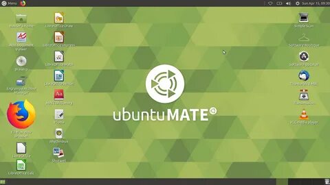 The second mate