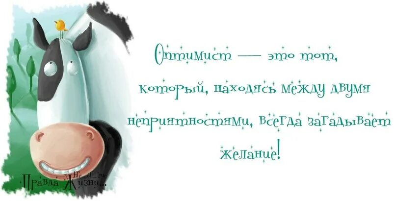 Выразить оптимизм