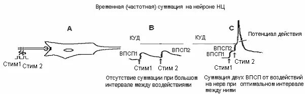 Впсп это
