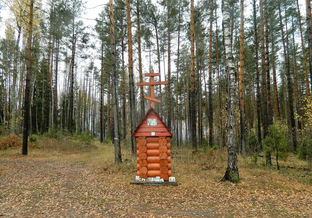 Родники шатура. Аннушкин Родник в Шатурском районе. Аннушкин Родник Карталы. Аннушкин Родник в Карталинском районе. Святой источник деревни Починки.