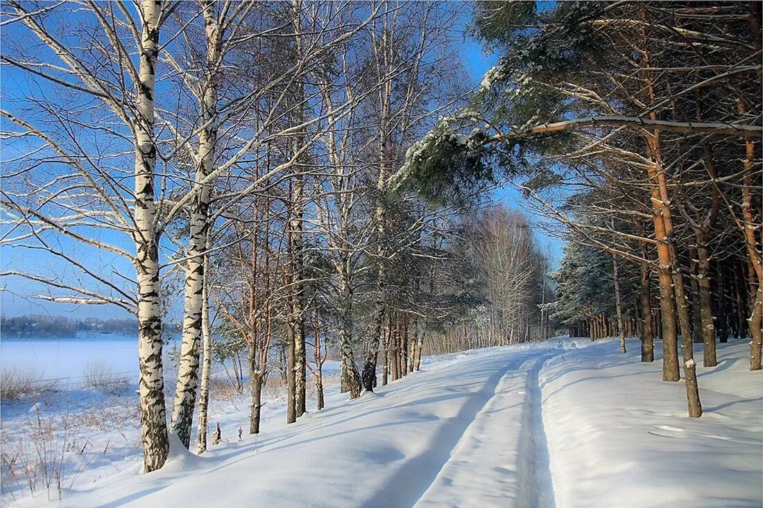 Впр на склоне зимы веселее становится февральский. Февраль природа. Февраль пейзаж.