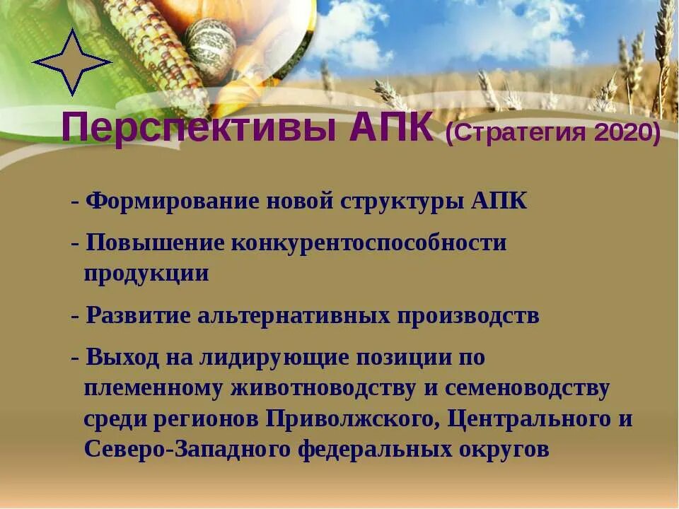 Агропромышленный комплекс россии апк 9 класс. Проблемы аграрно промышленного комплекса. Проблемы и перспективы развития агропромышленного комплекса. Проблемы развития агропромышленного комплекса. Проблемы развития агропромышленного комплекса.