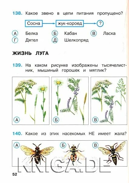 Окружающий мир тесты луг