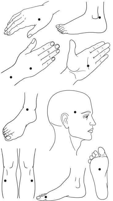 Какие точки надо массировать. Точечный массаж (точки Жень-Чжун, Чэн-Цзян, Хэ ГУ).. Точечный массаж (точки Жень-Чжун. Чэн-Цзян).. Акупрессура точечный массаж. Точки акупунктуры от цистита.